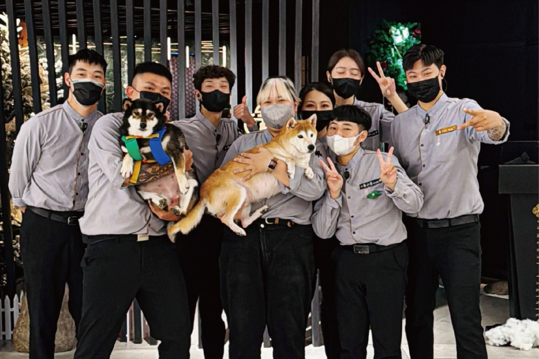 ✦ 星光侍老井_ 柴犬七仙女 ✦(Image)